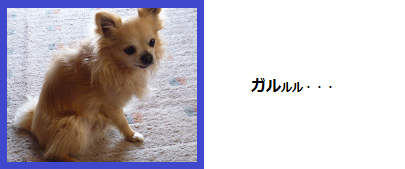 d0282395_1310944.png