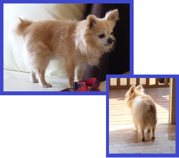 d0282395_13194879.png