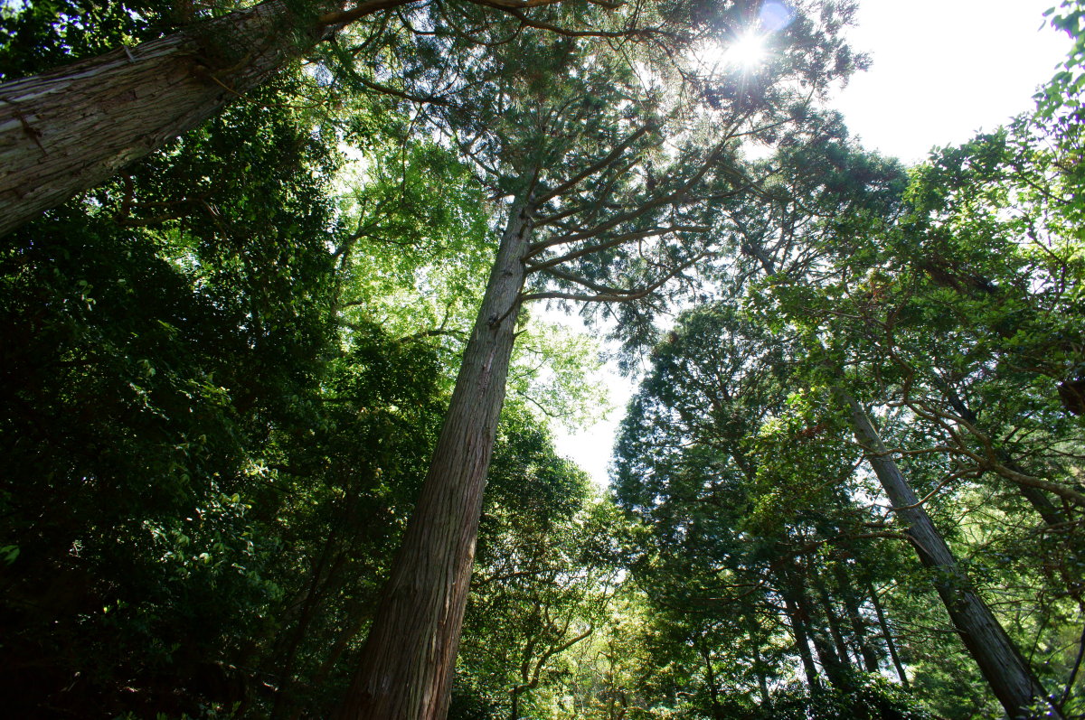 b0165802_4474929.jpg