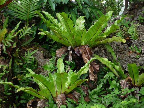 f0250403_18265065.jpg
