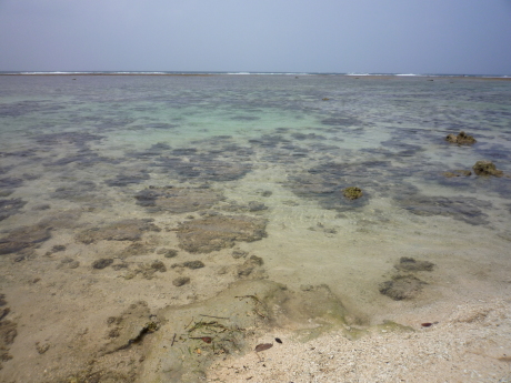 f0250403_18422560.jpg