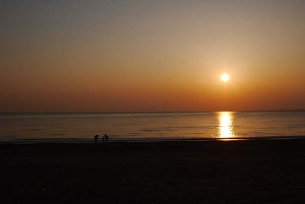 d0133704_144981.jpg