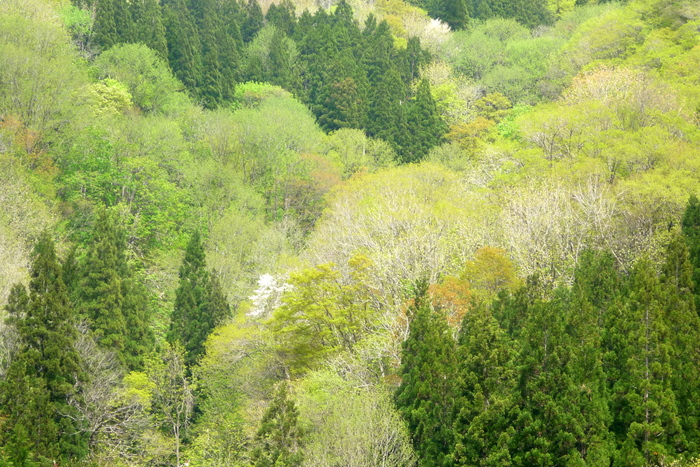 a0214206_19473612.jpg