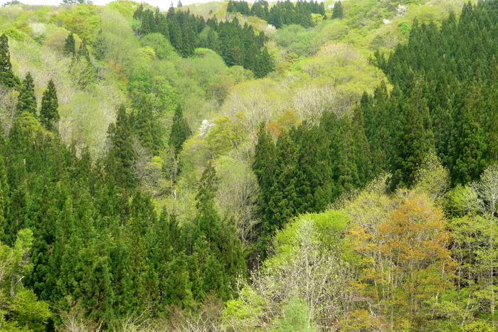 a0214206_1948217.jpg