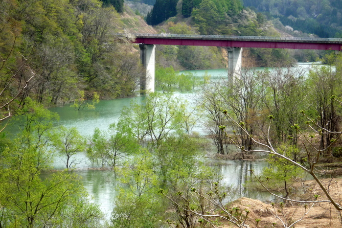 a0214206_2051755.jpg