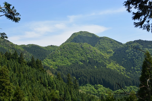 b0277008_1251531.jpg