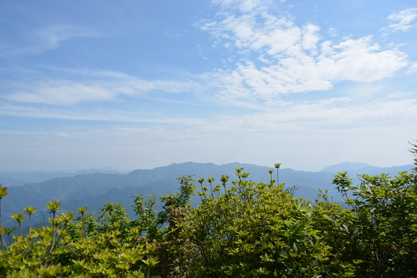 b0277008_12534981.jpg