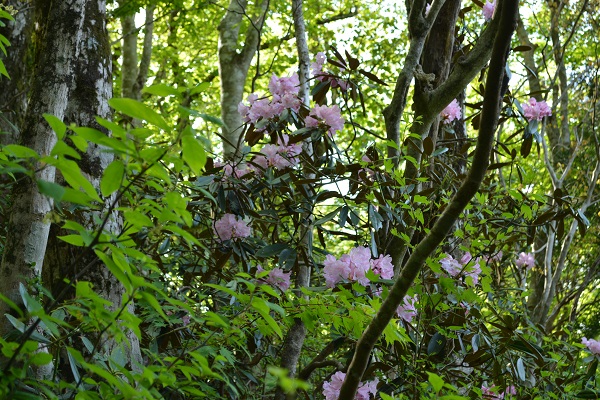 b0277008_12551672.jpg