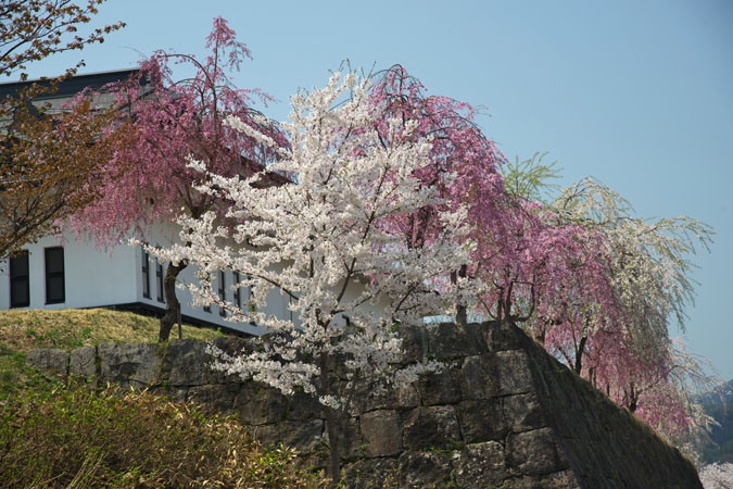 a0263109_13225525.jpg