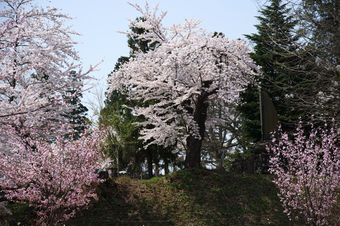 a0263109_13231855.jpg