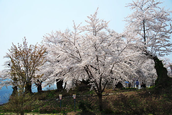 a0263109_1323731.jpg
