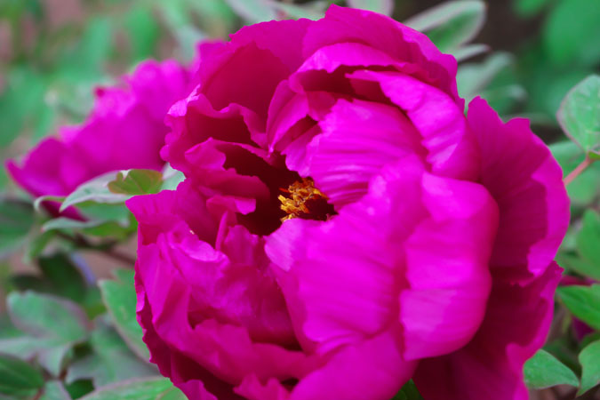 a0263109_7244053.jpg