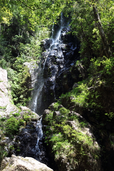 b0244811_00208.jpg
