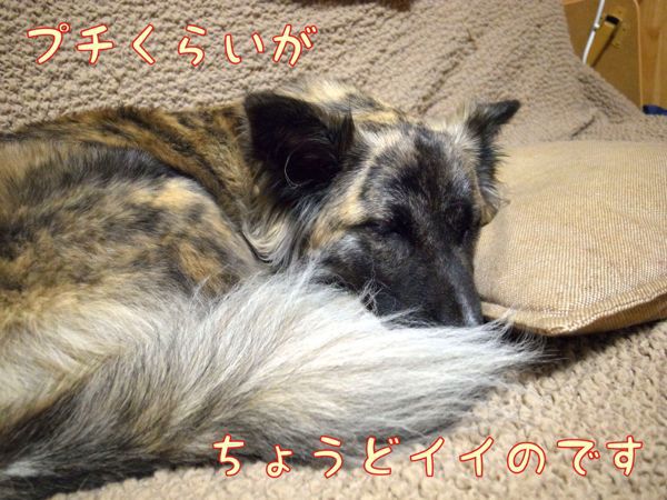 f0329311_13284199.jpg