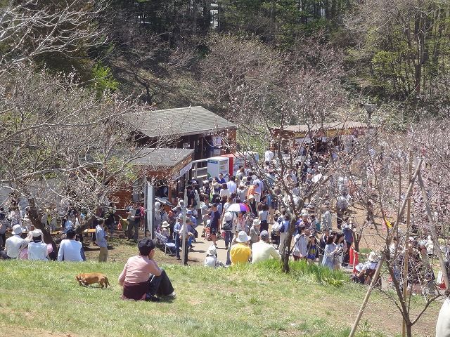 f0328313_14265175.jpg