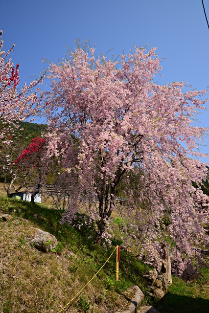 f0046614_22323829.jpg