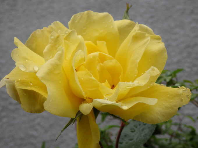 b0289815_155535.jpg