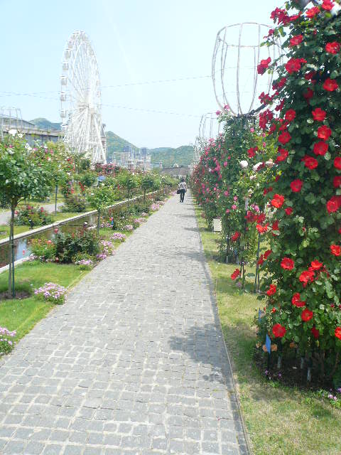 e0026017_1322363.jpg