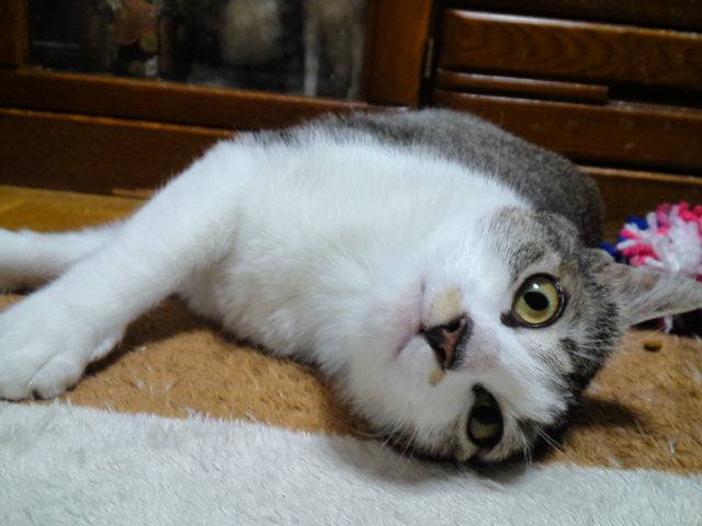 a0206019_01152287.jpg
