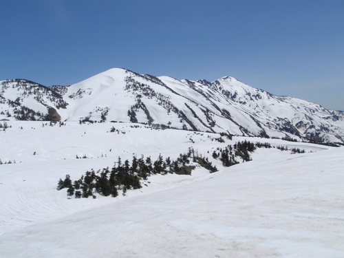 c0223019_21204015.jpg