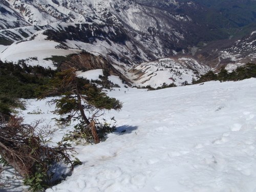 c0223019_2182719.jpg