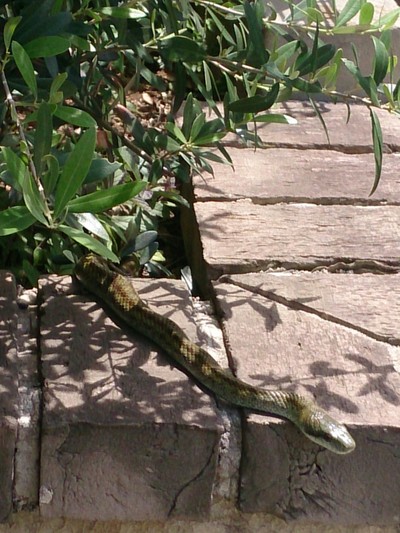 e0112619_17383871.jpg