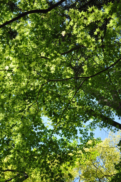 a0248728_1242145.jpg