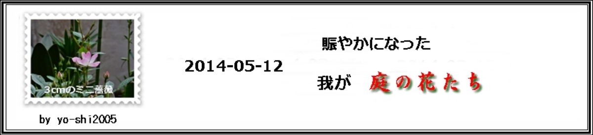 e0033229_21171853.jpg