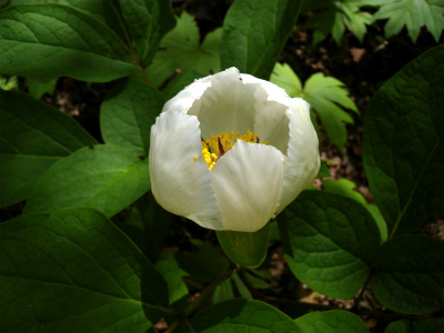 e0272335_13501335.jpg