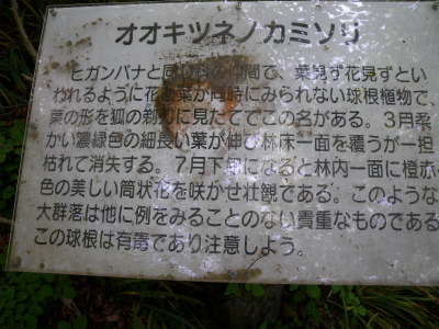 e0272335_341126.jpg