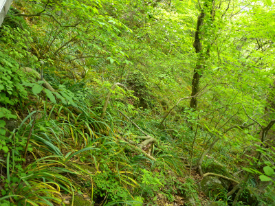 e0272335_3422561.jpg
