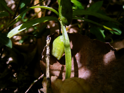 e0272335_3554910.jpg