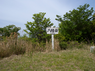e0272335_359954.jpg
