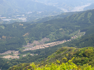 e0272335_4104169.jpg