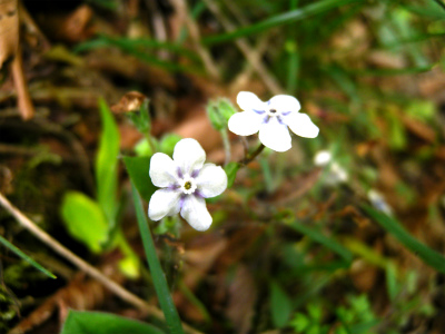 e0272335_4192734.jpg