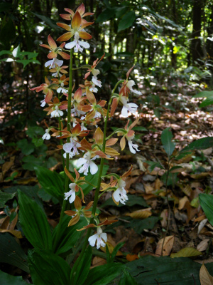 e0272335_4324848.jpg