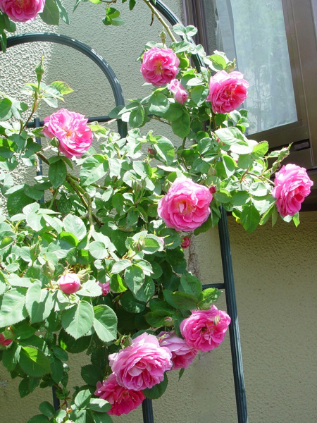 f0060535_035314.jpg