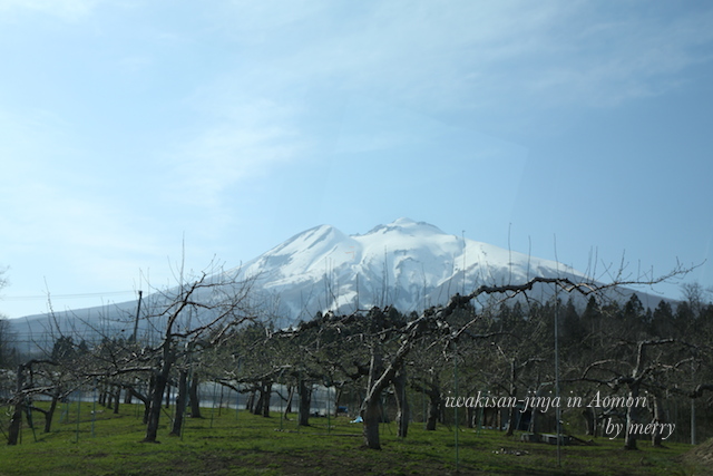 a0207736_2322644.jpg