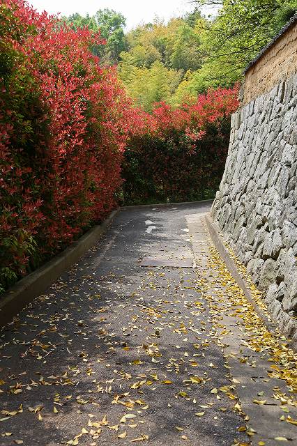 a0242438_1938256.jpg