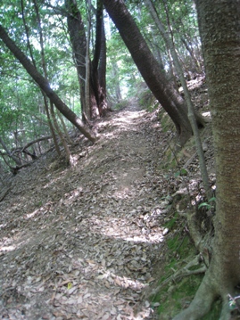 c0077338_9144475.jpg