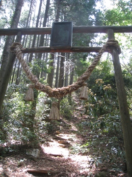 c0077338_9154681.jpg