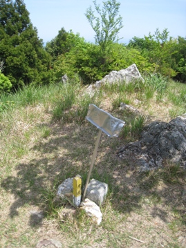 c0077338_9161944.jpg