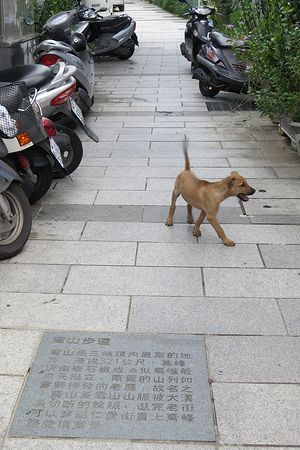 c0148238_18395593.jpg