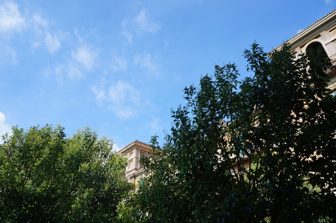 c0206352_2472445.jpg