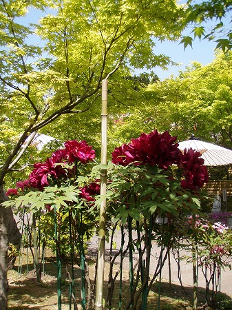 c0327752_1824367.jpg