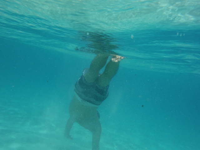 e0033156_17304532.jpg
