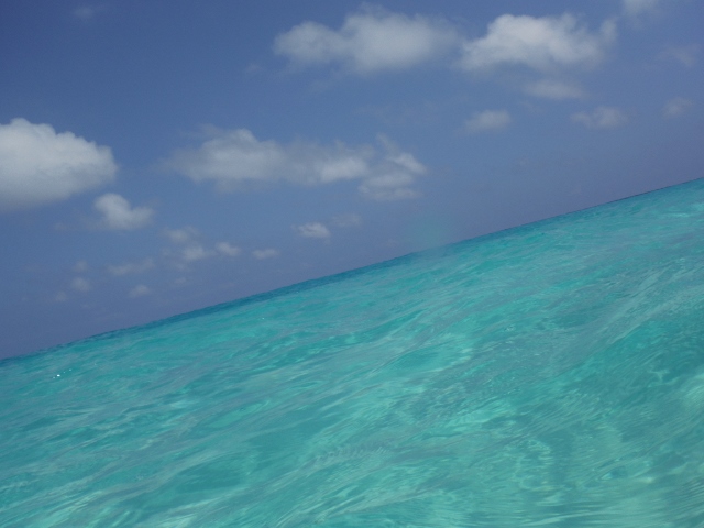 e0033156_1732057.jpg
