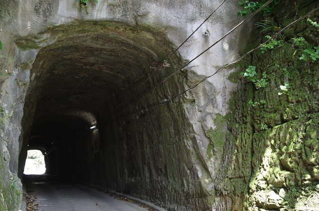 c0080357_2382958.jpg
