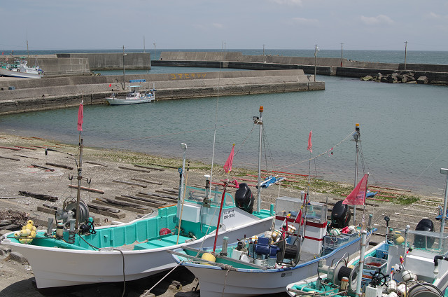 c0080357_239925.jpg