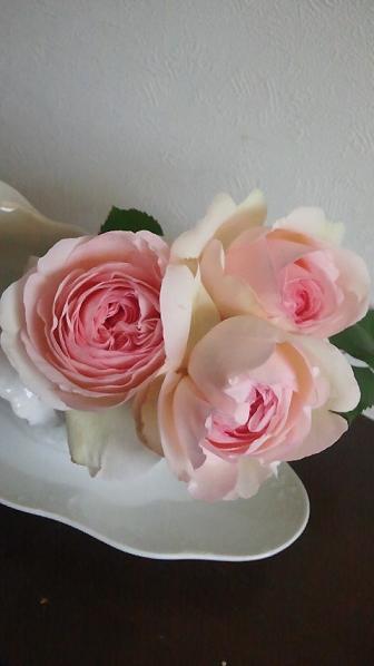 c0172261_1023930.jpg